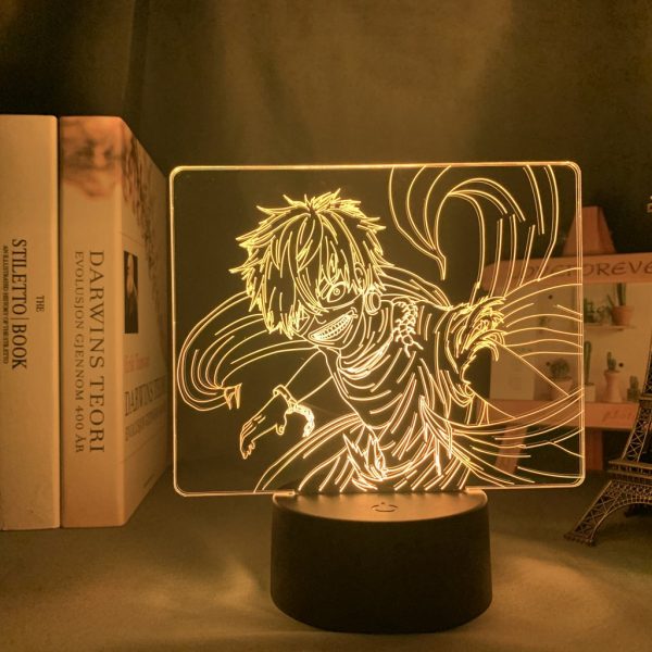 IMG 4417 - Anime 3D lamp